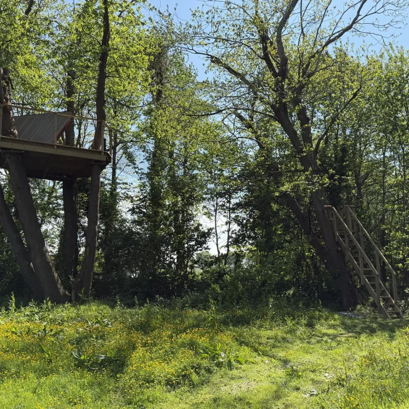 Cabane Dans Les Arbres Etretat Aventure
